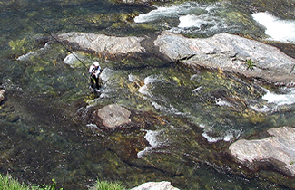 銅山川の鮎釣り師