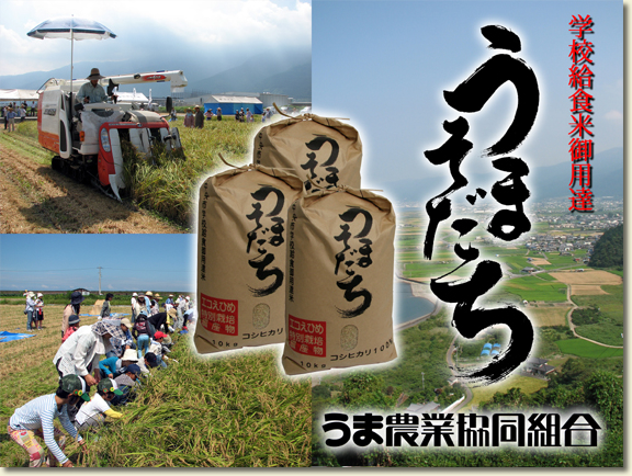 うまの特産品 うまそだち 学校給食御用達米
