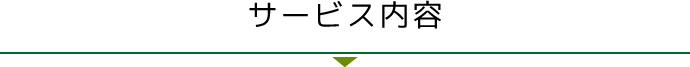 サービス内容