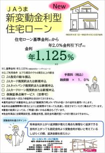 新変動型金利型住宅ローン
